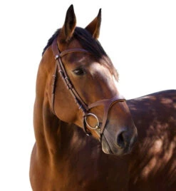 Halter Ego Triomphe Jumper Bridle 11 Halter Ego Triomphe Jumper Bridle -Marys Tack and Feed Store triomphe jumper bridle brown hero halter ego 87323.1690316756