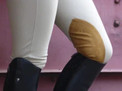 Tailored Sportsman Trophy Hunter Low Rise Breeches -Marys Tack and Feed Store ts breechfrntzip6 cleaned 74261 75486.1649280599