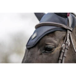 LeMieux Ultra Mesh Fly Hood -Marys Tack and Feed Store ultra mesh fly bonnet black lifestyle 4828 lemieux 54648.1646167572