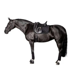 Lara Tweedie Velvet Luxe Dressage Pad 11 Lara Tweedie Velvet Luxe Dressage Pad -Marys Tack and Feed Store velvet luxe drsg pad aw24 black lifestyle VELVET LUXE PAD FULL lara tweedie 92130.1732378133