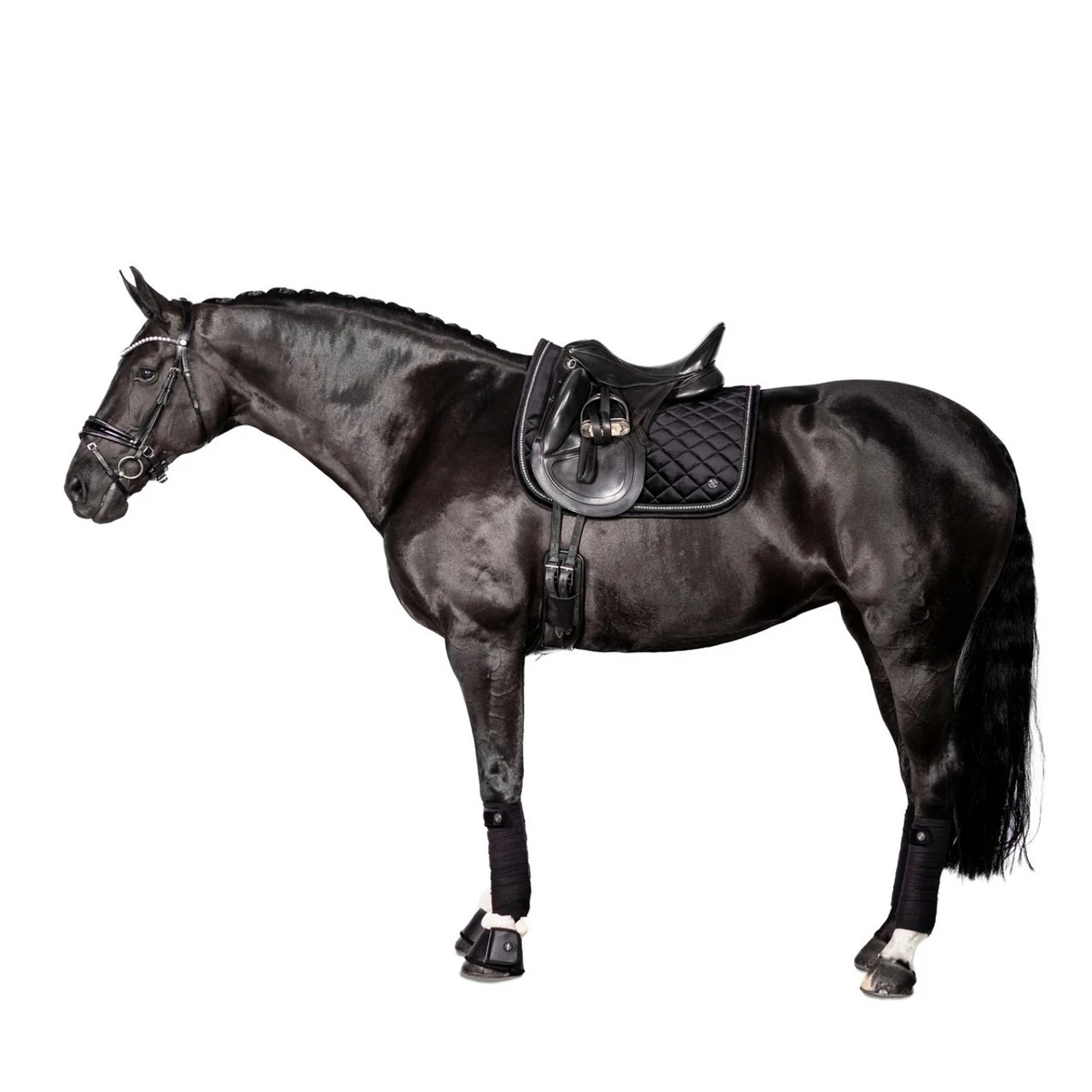 Lara Tweedie Velvet Luxe Dressage Pad 7 Lara Tweedie Velvet Luxe Dressage Pad - Image 5
