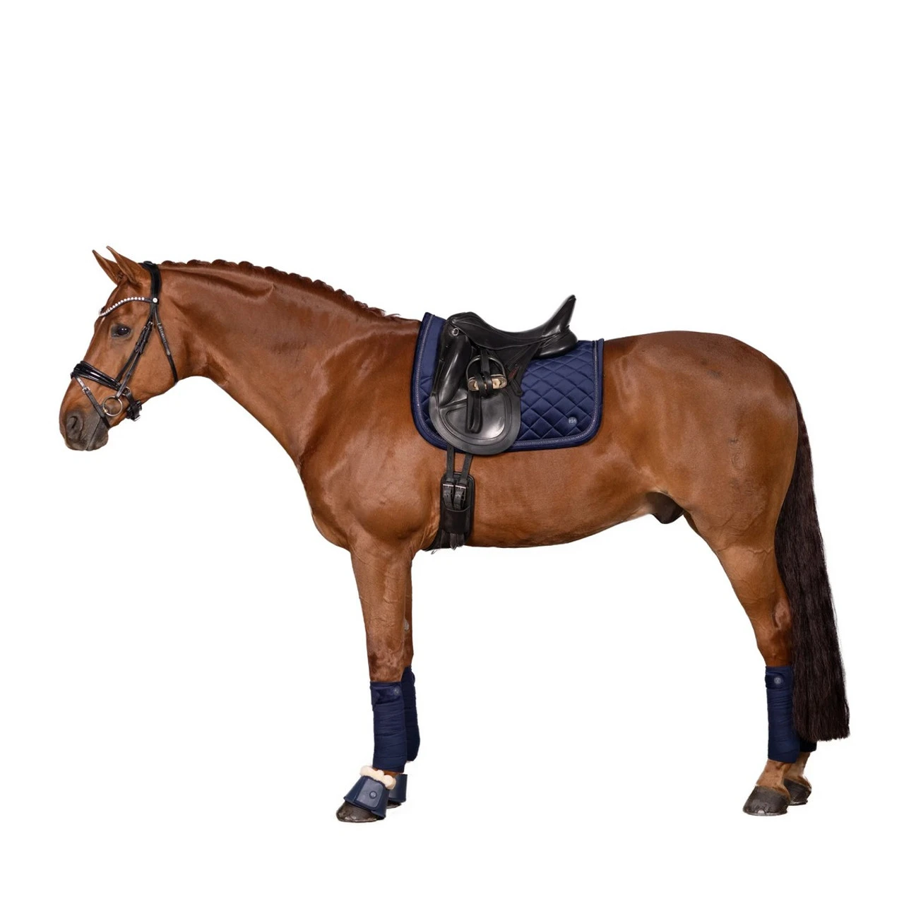 Lara Tweedie Velvet Luxe Dressage Pad 5 Lara Tweedie Velvet Luxe Dressage Pad - Image 3