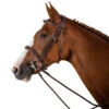 Dy'on Wide Fancy Stitch Hunter Bridle -Marys Tack and Feed Store wide FS hunter bridle USKOAKBR dyon 86930.1712846050