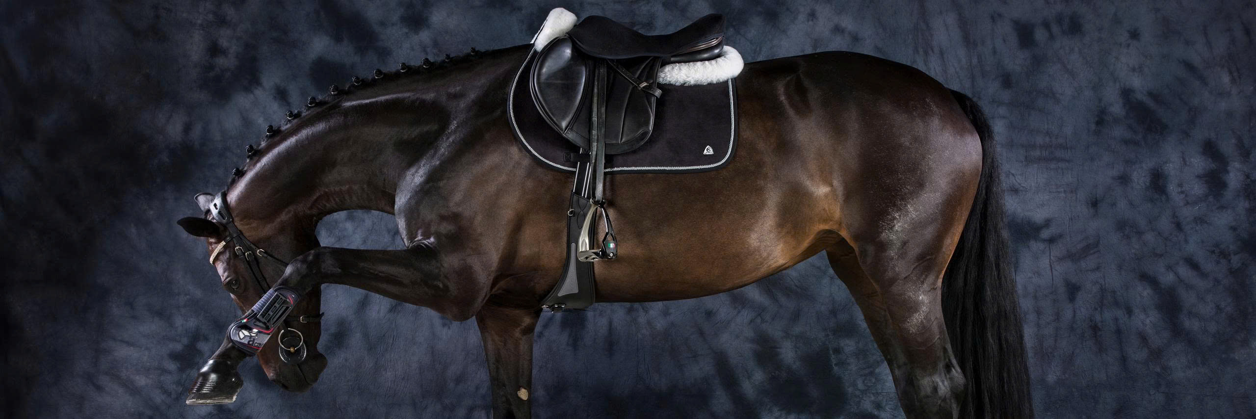 Marys Tack and Feed Store -Marys Tack and Feed Store z7164370781916 b2d6ba0871de54f552c579e583a65ea7